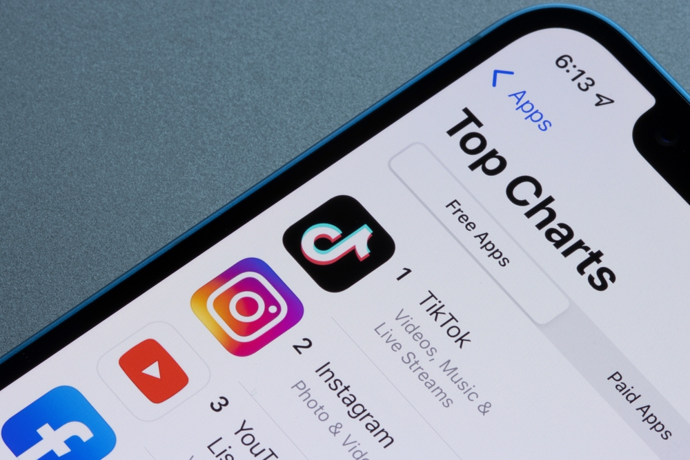 Revealing Secrets to Success on TikTok : Understanding your Target Audience