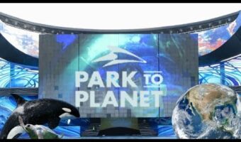 How SeaWorld, of All Brands, Made the Most-Liked Ad of the Third Quarter