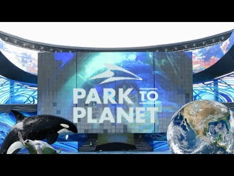 How SeaWorld, of All Brands, Made the Most-Liked Ad of the Third Quarter